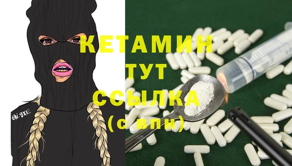 крисы Алексин