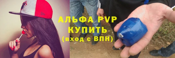 крисы Алексин