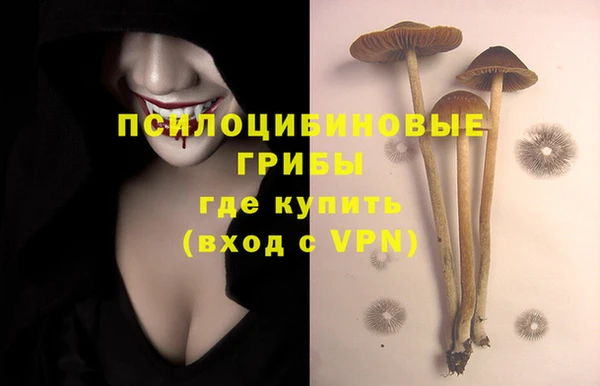 крисы Алексин