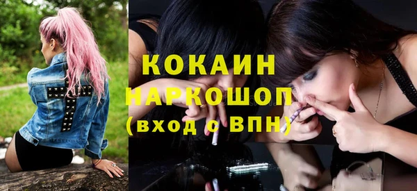 крисы Алексин