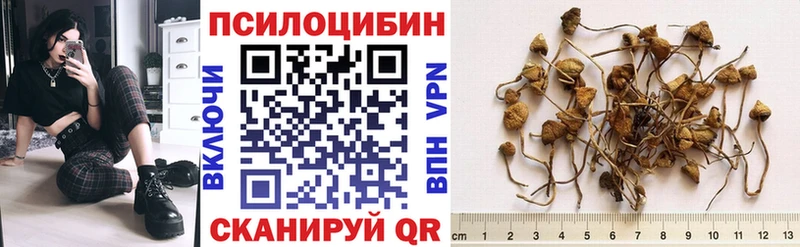 Псилоцибиновые грибы прущие грибы Углич